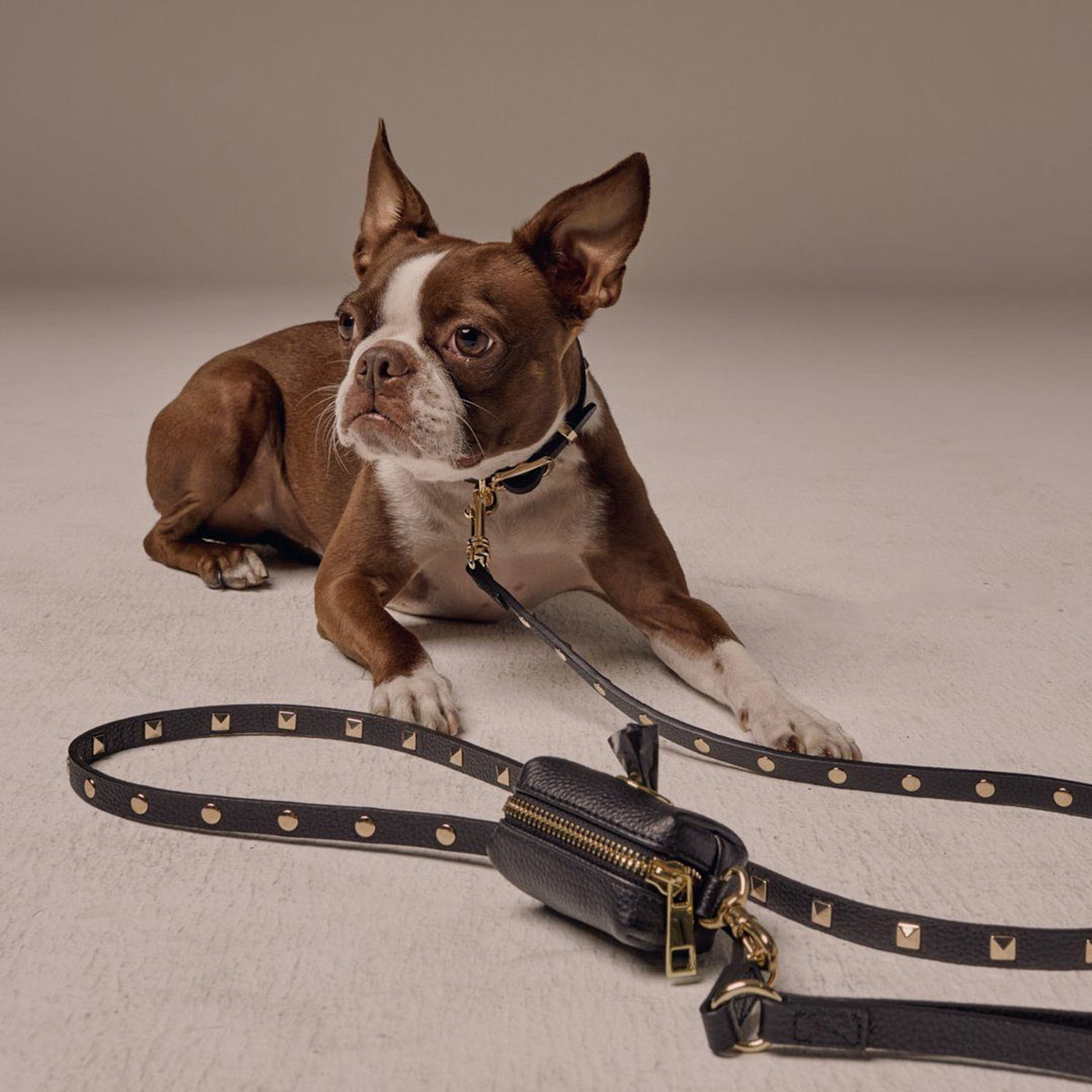 Louis Vuitton Dog Harness -  Australia