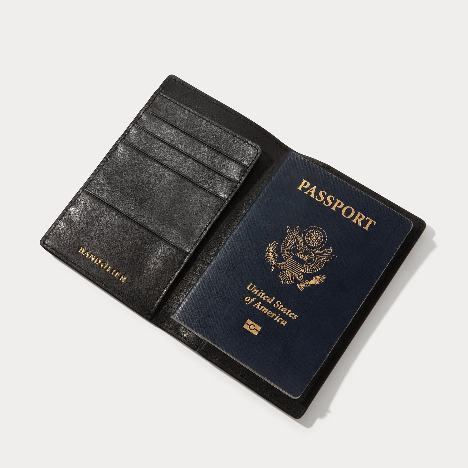 PASSPORT HOLDER