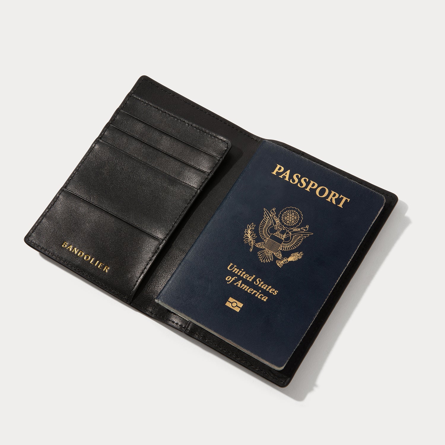 Passport Holder - Black Croc/Gold